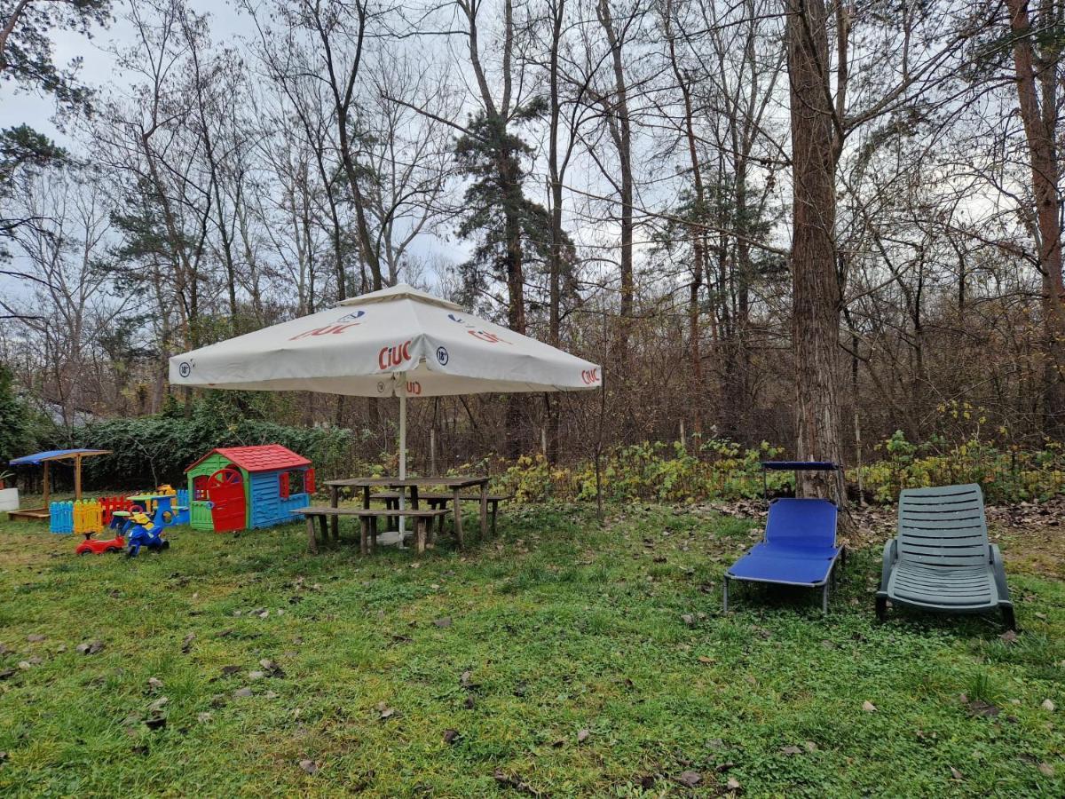 Pensiunea Carpe Diem Râmnicu Vâlcea Exterior foto